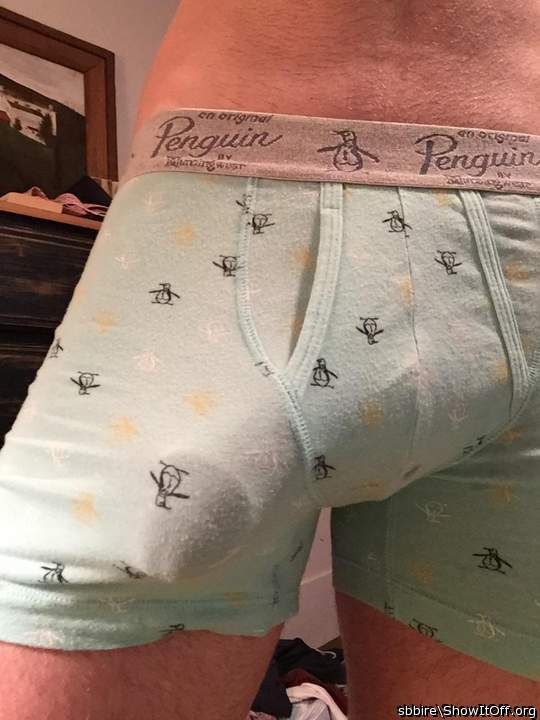 OMF what a fantastic cock outline  