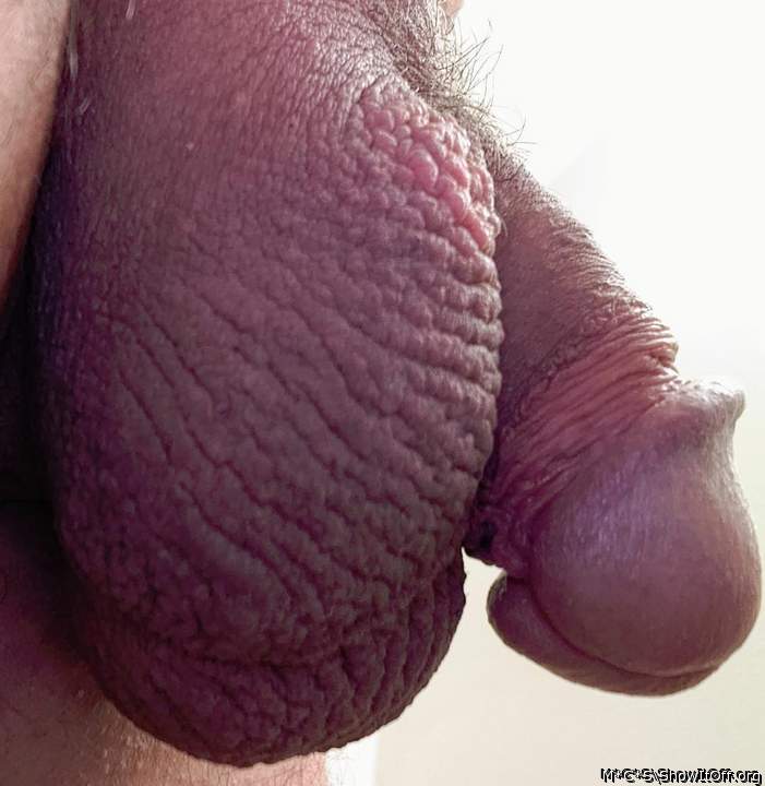 Photo of a wiener from M*C*S
