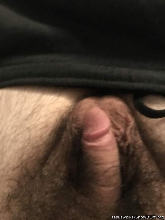 Photo of a dong from Tesuswalks