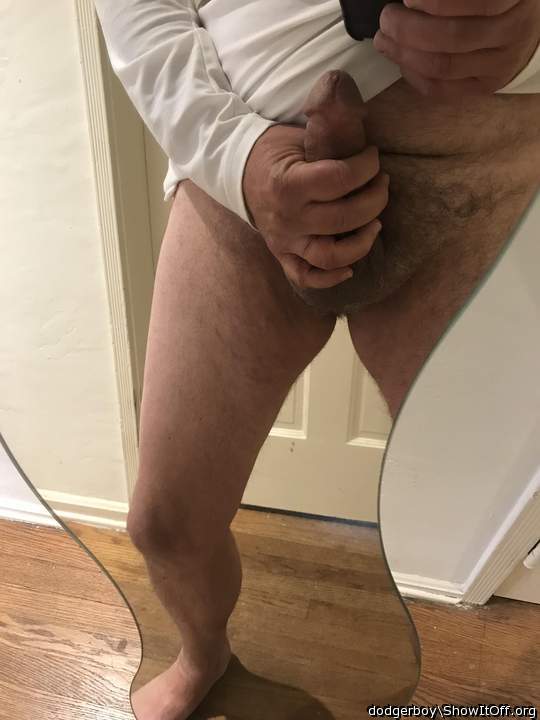 Photo of a cavalier from dodgerboy