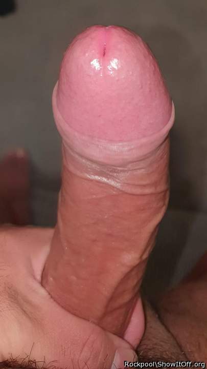 Photo of a ram rod from Rockpool