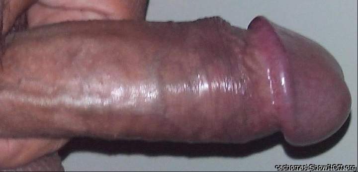 Photo of a middle leg from cachorras
