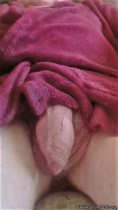 Photo of a python from Ade59