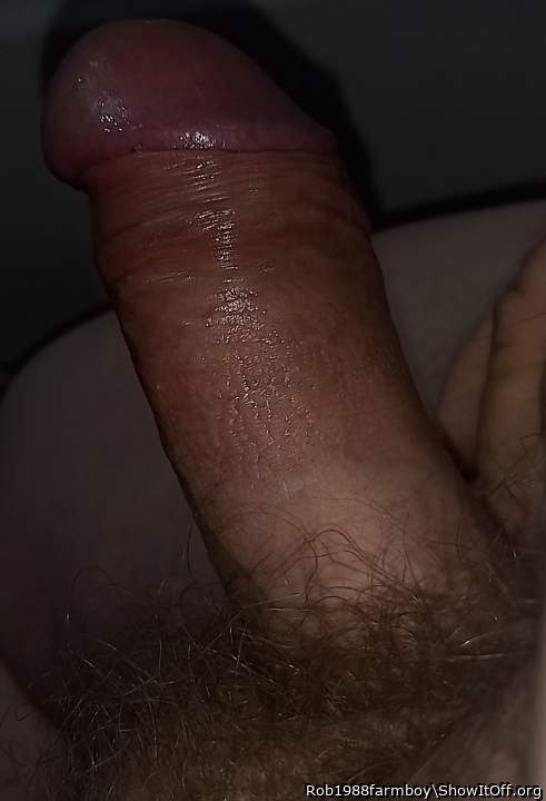 Close up cock