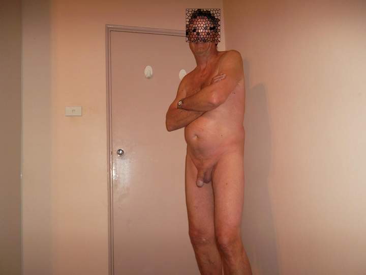 torso 4