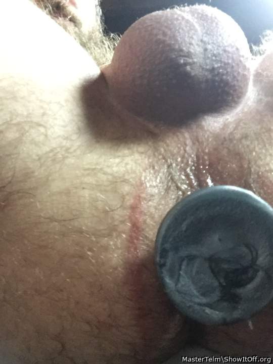 Adult image from MasterTelm