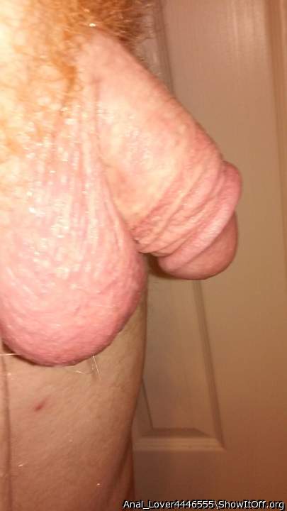 Photo of a snake from Anal_Lover4446555