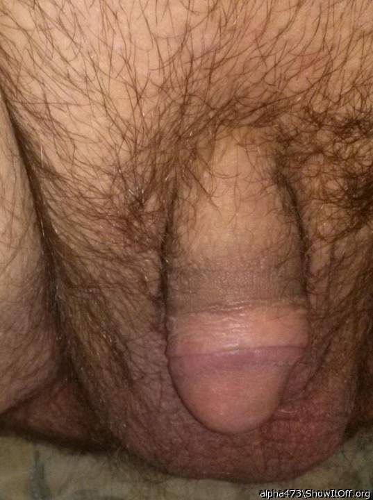 Photo of a tool from alpha473