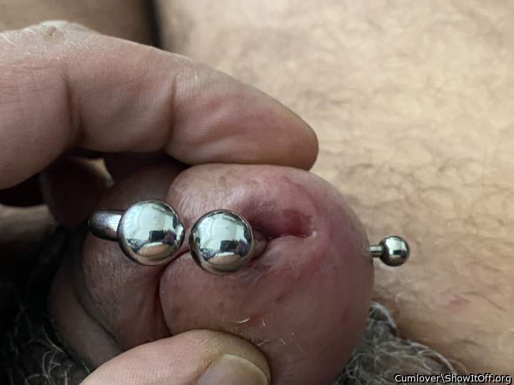 Photo of a weasel from Cumlover