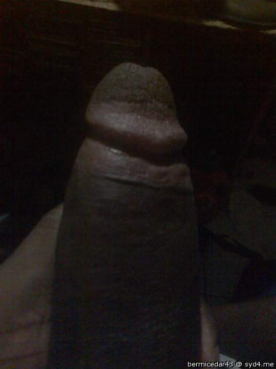 Photo of a boner from bermicedar43