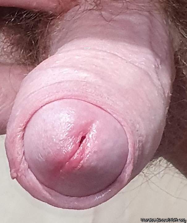 Good head closeup !