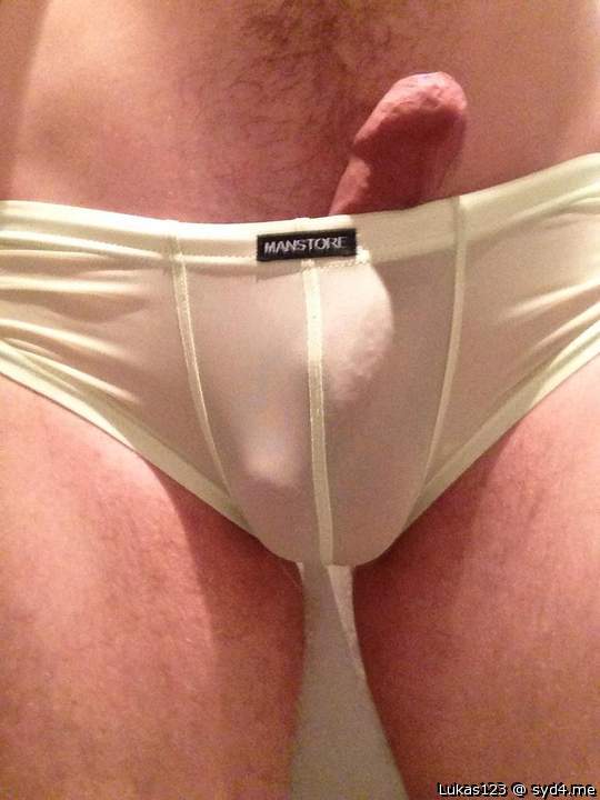 Photo of a cavalier from Lukas123