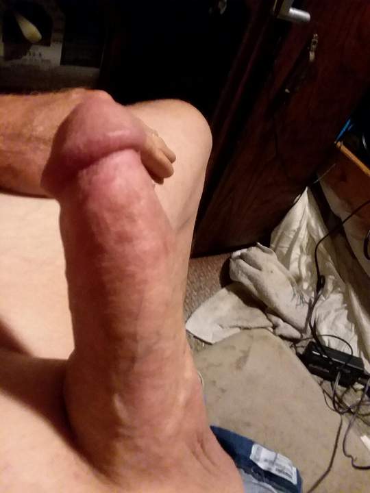 Photo of a horn from fish4free
