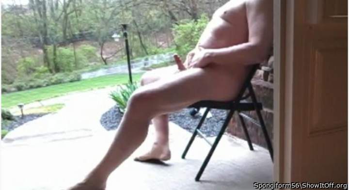 Photo of a weasel from Spongiform56