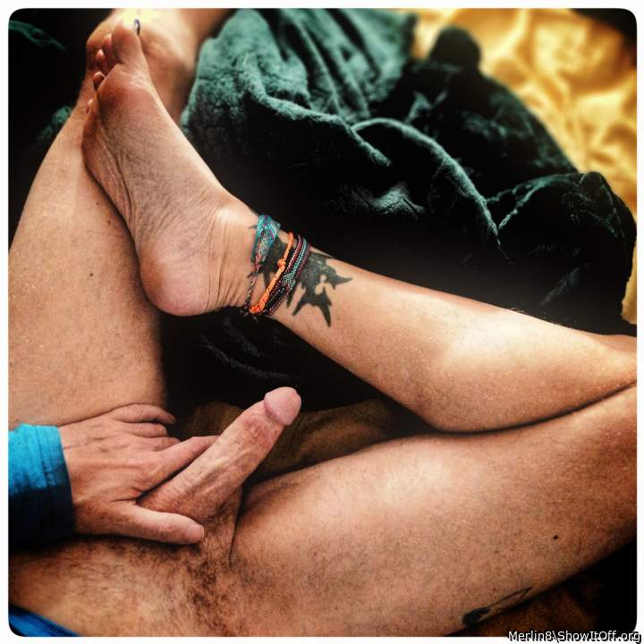 Adult image from Merlin8