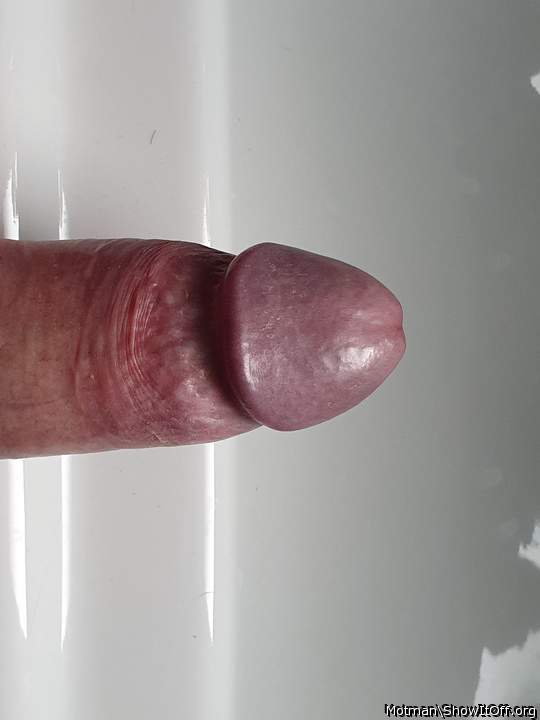 Thick meat and a beautiful engorged head  