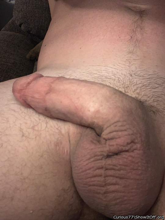 Photo of a dong from Curious77