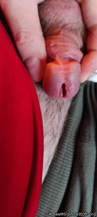 Photo of a dong from AttleeMS
