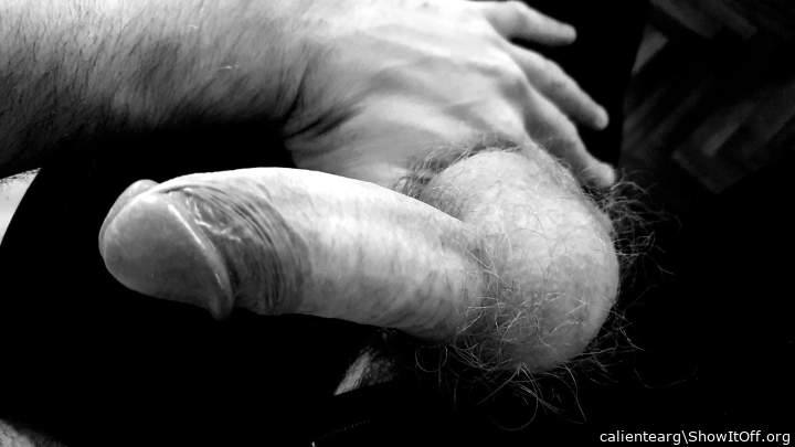 Photo of a weasel from calientearg