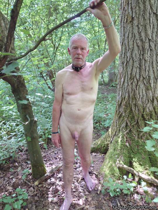 Photo of a bald-headed mouse from FagSlag