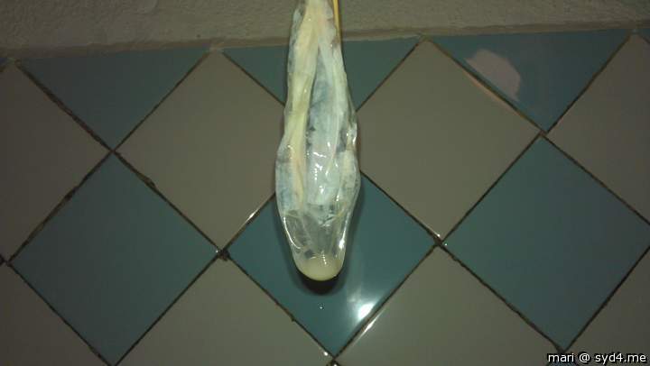 Photo of a drain pipe from mari
