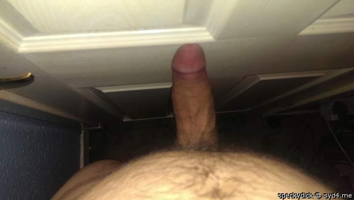 Photo of a snake from speckydick