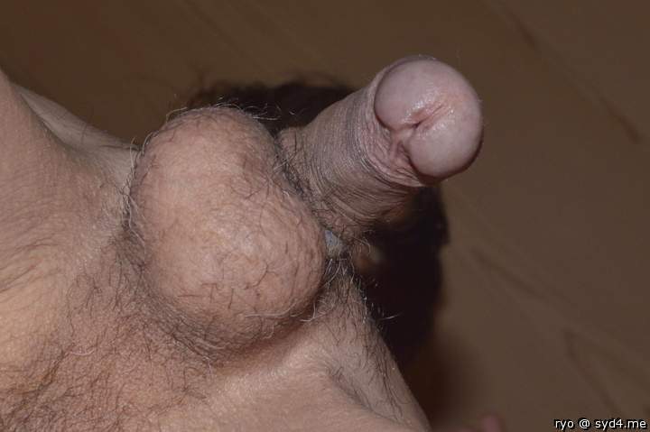 Photo of a python from ryo