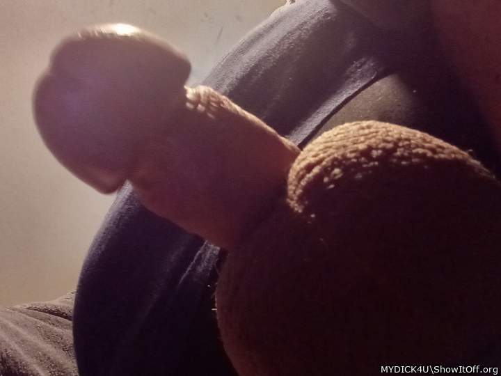 Photo of a weasel from MYDICK4U