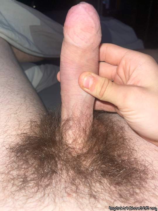 Photo of a cock from Bigdick14