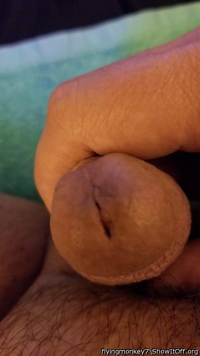 Photo of a dong from flyingmonkey7