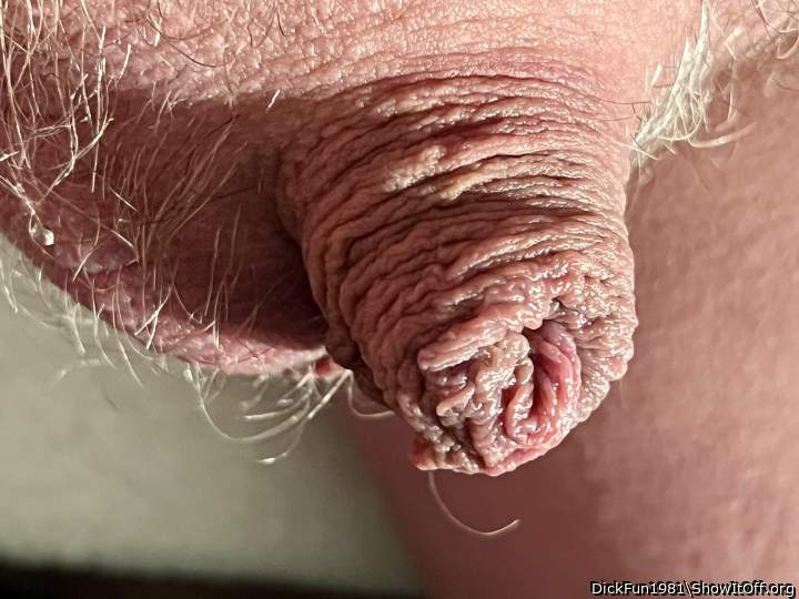 Photo of a phallus from DickFun1981