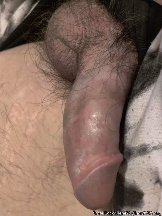Photo of a wiener from SmallCockAlien420