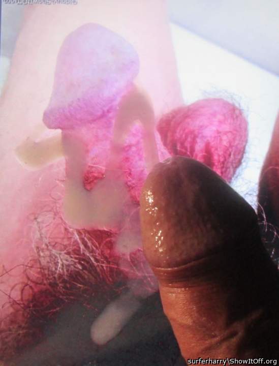 Photo of a hot dog from surferharry