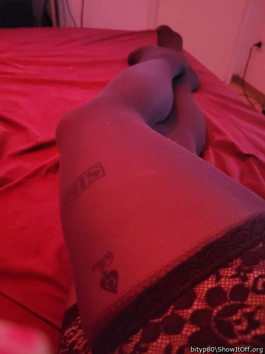 Photo of a bat from bityp80