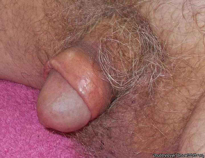 closeup of the little tiger