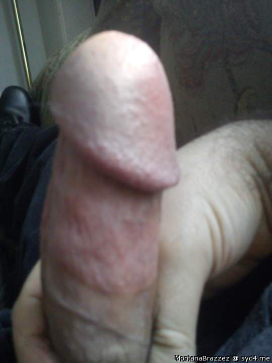 Photo of a hot dog from Montanabrazzez