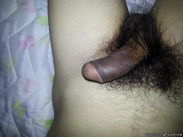 Photo of a third leg from eden2313