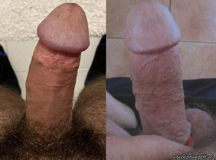 Two cocks