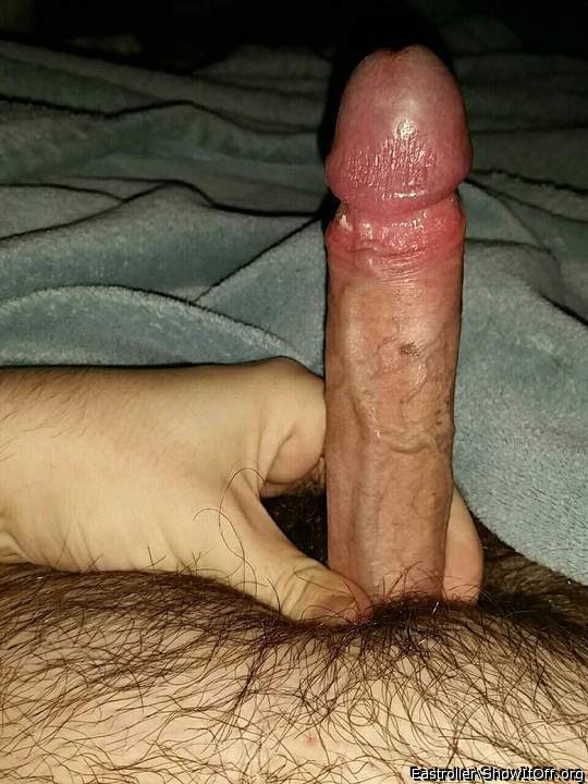 Photo of a third leg from *Humpy_Rugmuncher