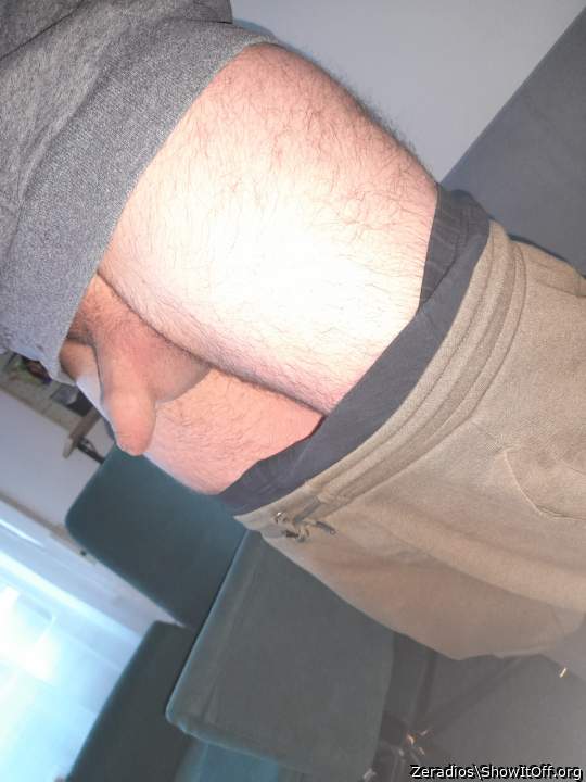 Photo of a python from Zeradios