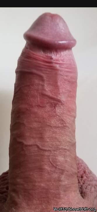 Rubbing dick on neighbors car