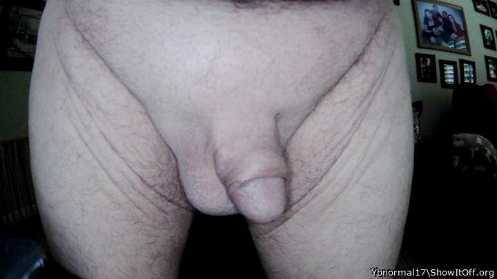 Photo of a bat from Ybnormal17