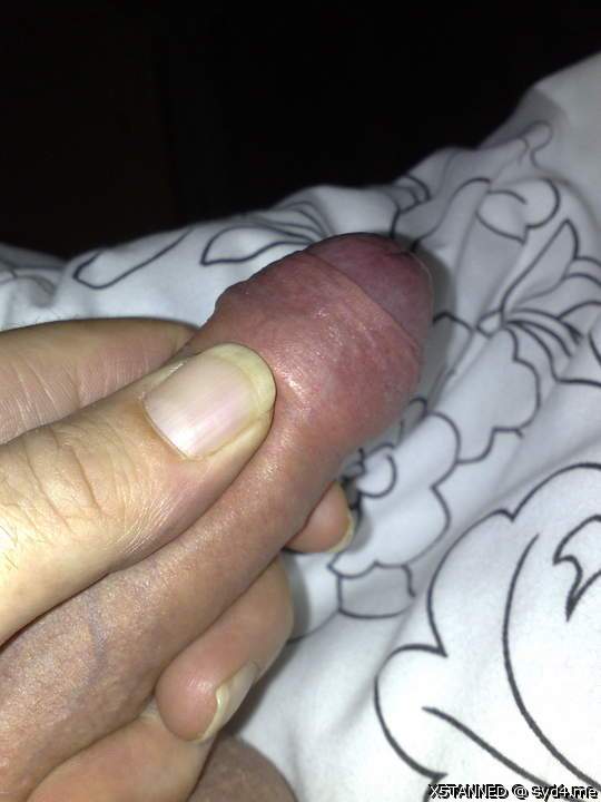Photo of a tool from X5TANNED