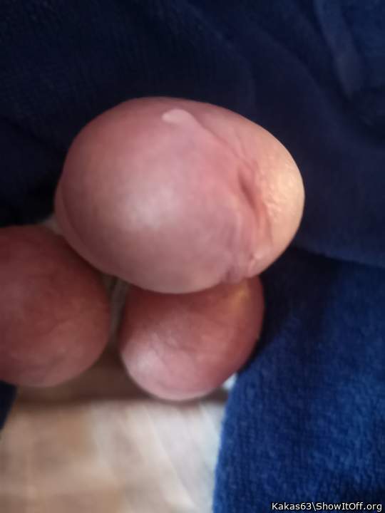 Photo of a sausage from Kakas63