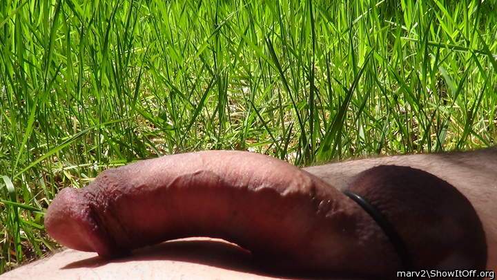 ooo a snake in the grass