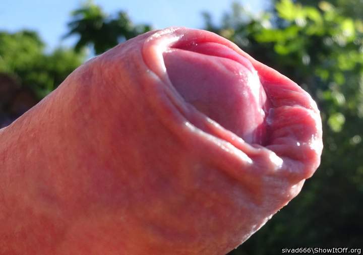 Photo of a third leg from sivad666