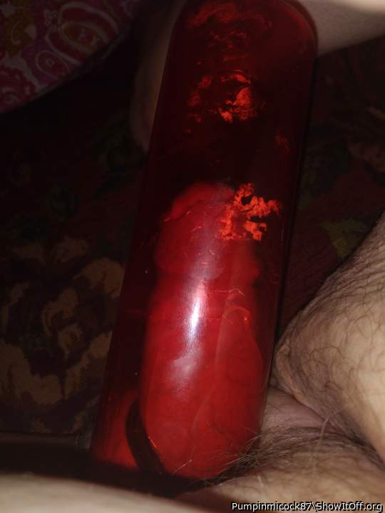 Photo of a snake from Pumpinmicock87