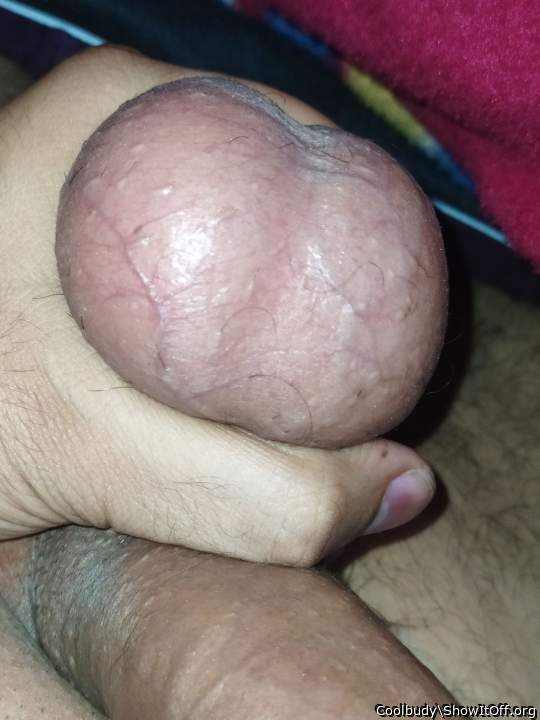 Testicles Photo from Coolbudy