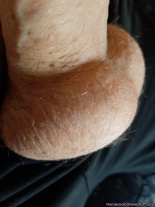 Testicles Photo from massivecock