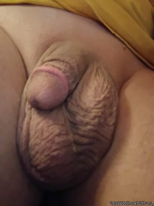 What a great view thats a good looking cock. 